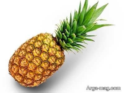 درمان خانگی ماستیت با استفاده از آناناس