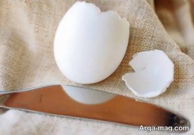 خواص مختلف پوست تخم مرغ