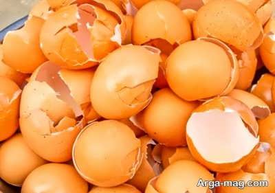 بررسی خواص پوست تخم مرغ