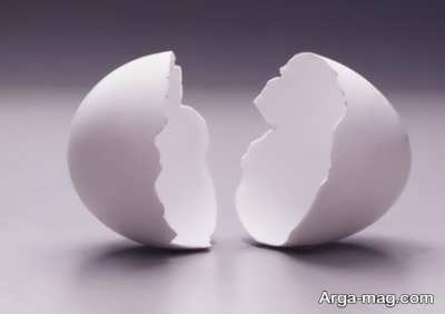 انواع خاصیت برای پوست تخم مرغ