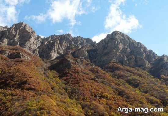 روستای سیاه بیشه