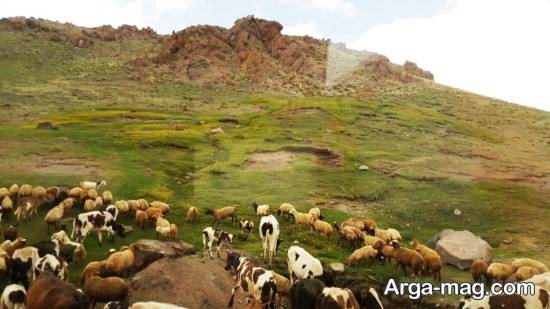 طبیعت نئور 