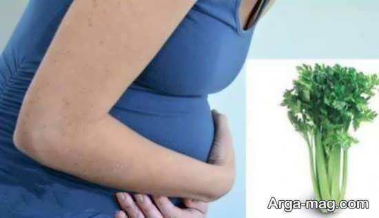 عوارض جدی مصرف کرفس در حاملگی