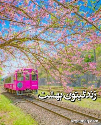 جمله زیبا و ناب برای عصر بخیر