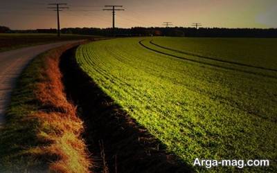 مراحل گرفتن سند زمین کشاورزی