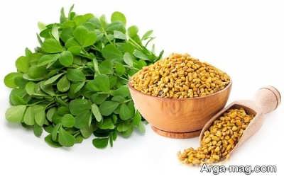 چند درمان طبیعی برای کاهش تب