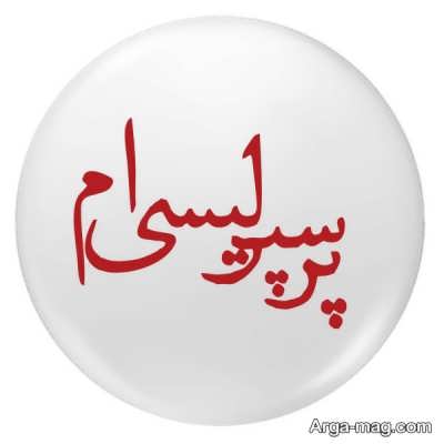 متن کوتاه بیو در مورد پرسپولیس 