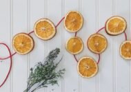 بررسی خواص پرتقال خشک