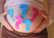 تشخیص جنسیت جنین از روی فرم شکم