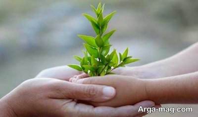 تاب آوری چیست