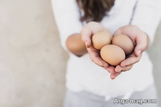 مزایای خوردن تخم مرغ در حاملگی