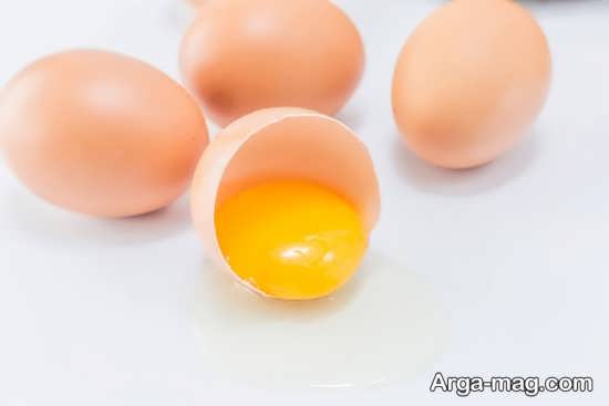 نحوه مصرف تخم مرغ در بارداری