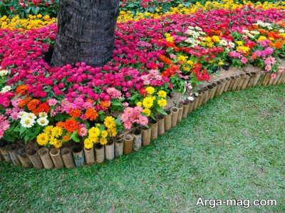 خصوصیات گل های مناسب مناطق گرمسیری