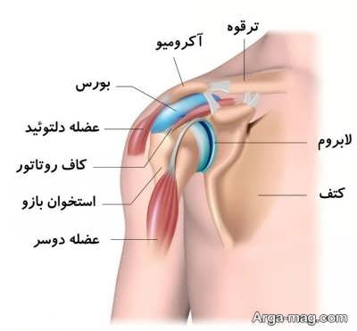 علت سندرم شانه یخ زده