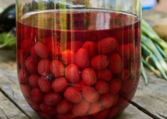 آشنایی با طرز تهیه ترشی زغال اخته