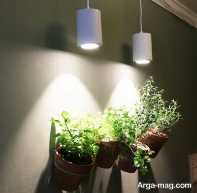 لامپ های ایده آل برای رشد گیاهان