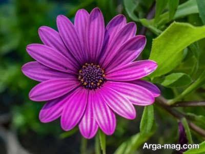 جملات کوتاه و سنگین درباره لیاقت