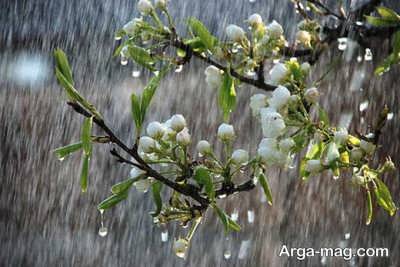 متن احساسی و زیبا در مورد باران 