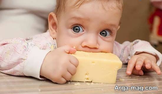 شیوه های مناسب دادن پنیر به بچه ها