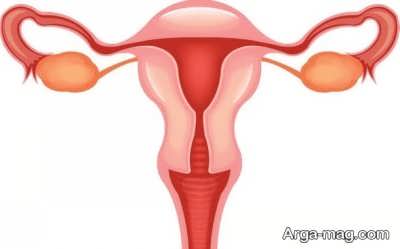 Cleansing the uterus 12 - پاکسازی رحم از عفونت و تقویت رحم با درمان های خانگی موثر