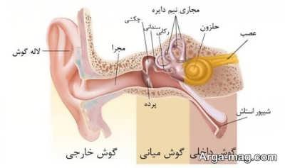 درباره اختلال گوش میانی چه می دانید؟