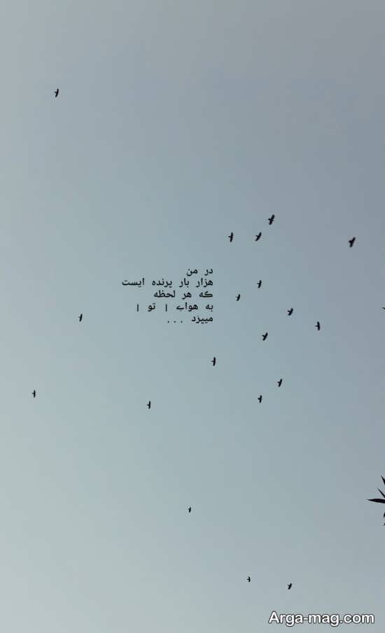 مجموعه جدید عکس پروفایل آسمان