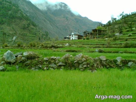 طبیعت کشمیر