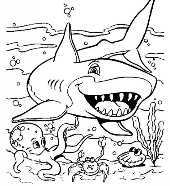 نقاشی کوسه و ماهی برای بچه ها 