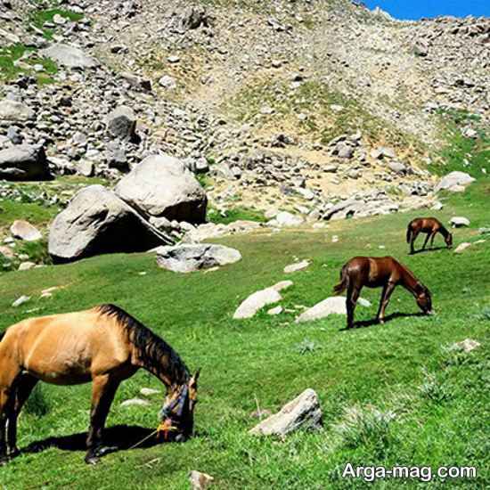 آشایی با دشت میشان