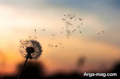 متن زیبا و دلنشین در مورد گذر زمان