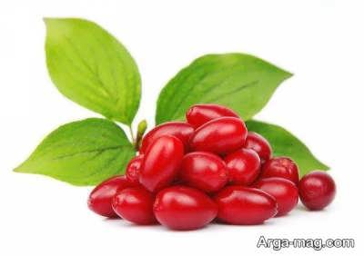 آموزش شیوه و طریقه تهیه مارمالاد زغال اخته