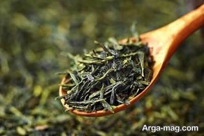 استفاده از چای سبز برای مو های سالم