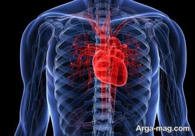 تاثیر سندرم مارفان بر عملکرد های قلب