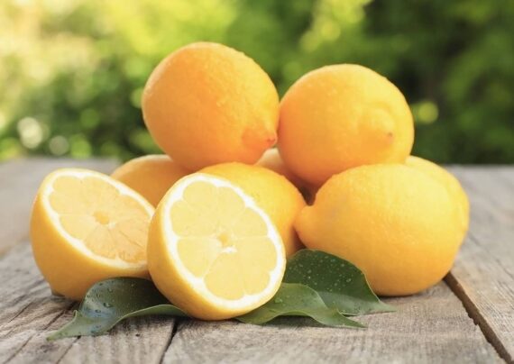 انواع خواص لیمو سنگی
