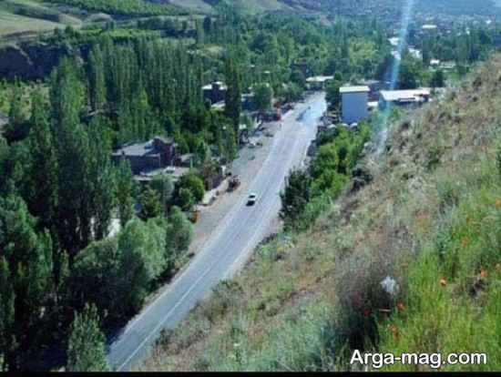 جگل های بند