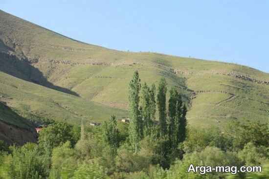 ارتفاعات جنگلی بند