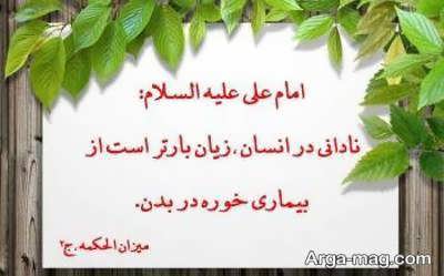 متن زیبا در مورد جهل