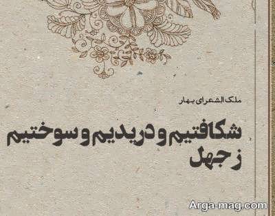 جملات ناب کوتاه در مورد جهل