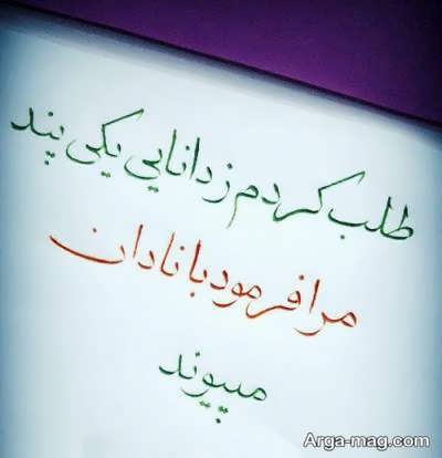 سخنان بزرگان در مورد جهل