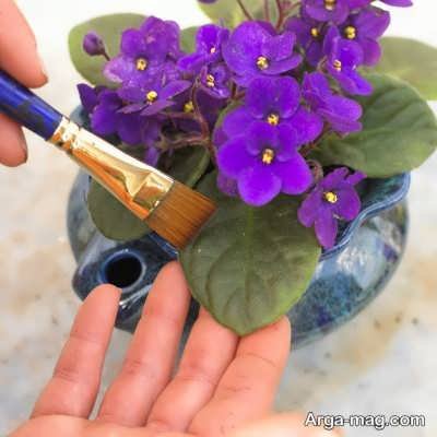 7 راه ساده برای تمیز کردن برگ گیاهان خانگی و تزیینی