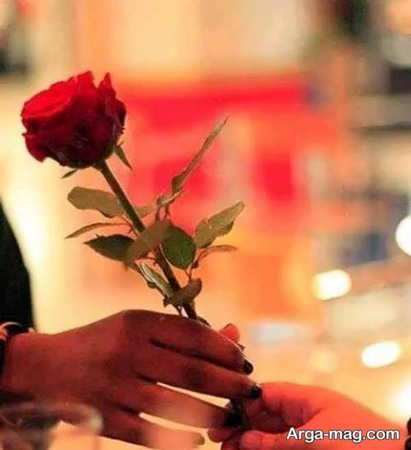  عکس عاشقانه با گل برای ابراز محبت قلبی