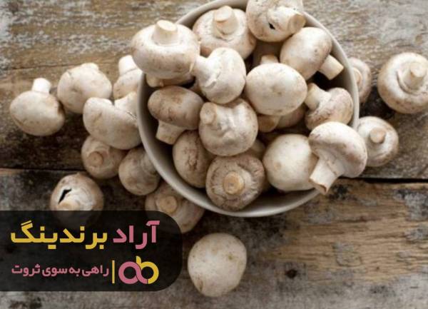 پرورش قارچ خوراکی مازندران متوقف شد