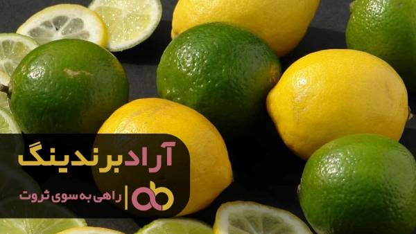 لیمو ترش جهرم را به نرخ روز خریداری کنید