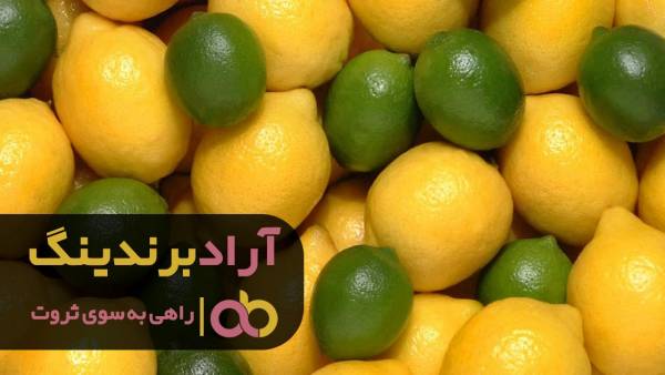 لیمو ترش جهرم را به نرخ روز خریداری کنید