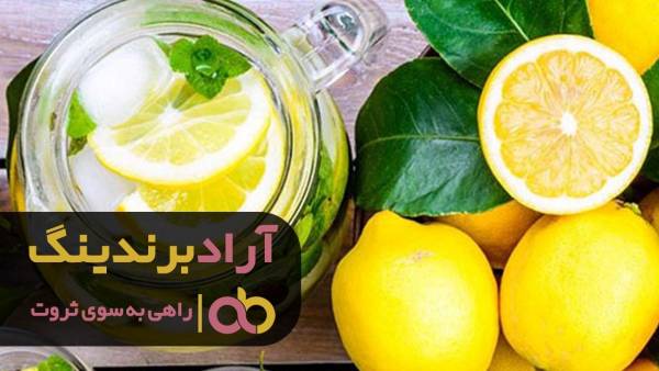 لیمو ترش جهرم را به نرخ روز خریداری کنید