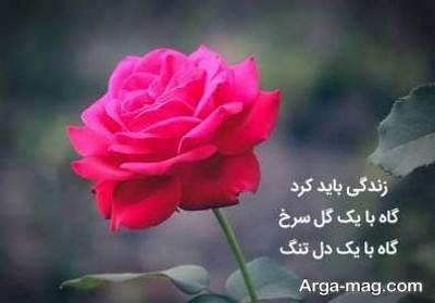 متن های زیبا برای کپشن اینستاگرام درباره گل