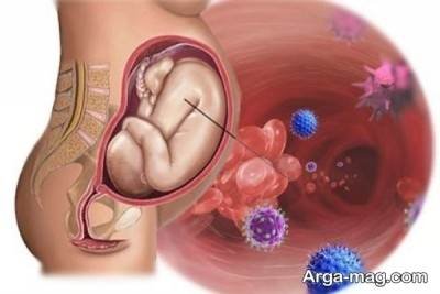 توضیح در مورد تاثیر عفونت بر جنین