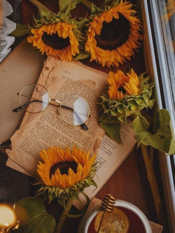 30 ایده لاکچری از عکس گل آفتابگردان برای پروفایل