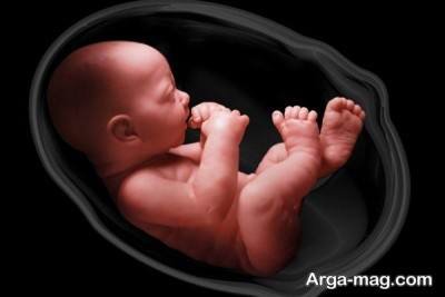 معرفی تاثیرات ویار بر هوش جنین