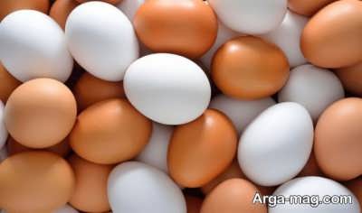 کنترل ترشح هورمون ها